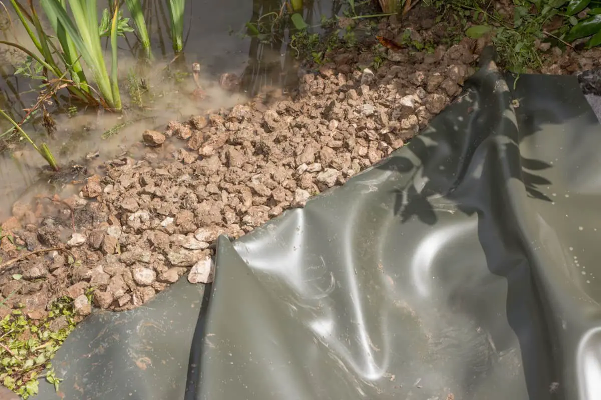 Does A Pond Liner REALLY Need Underlay? Liquid Features