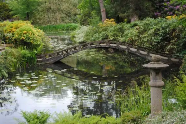 8 easy ways to fill in a garden pond – Liquid Features