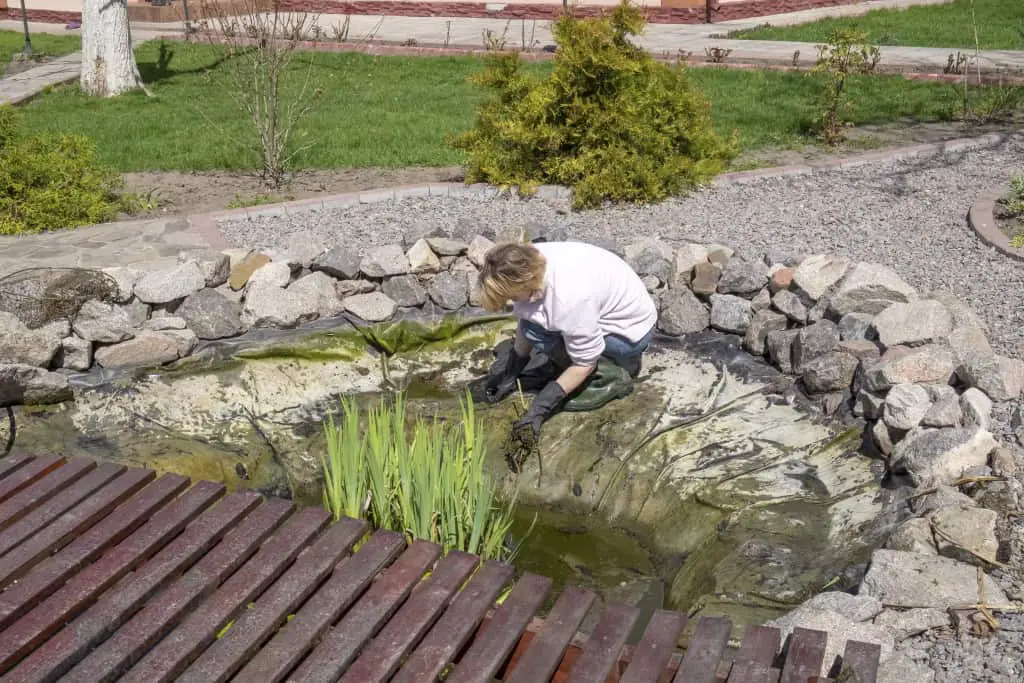 Pond maintenance.