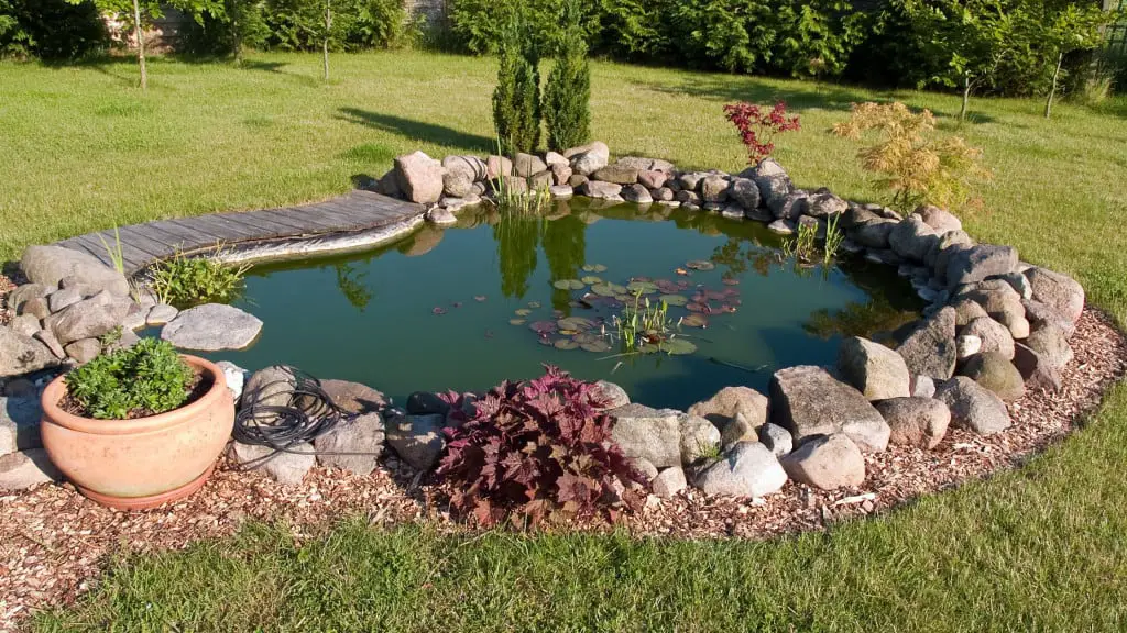 beautiful garden pond