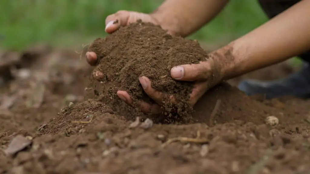 mixing soil with hands