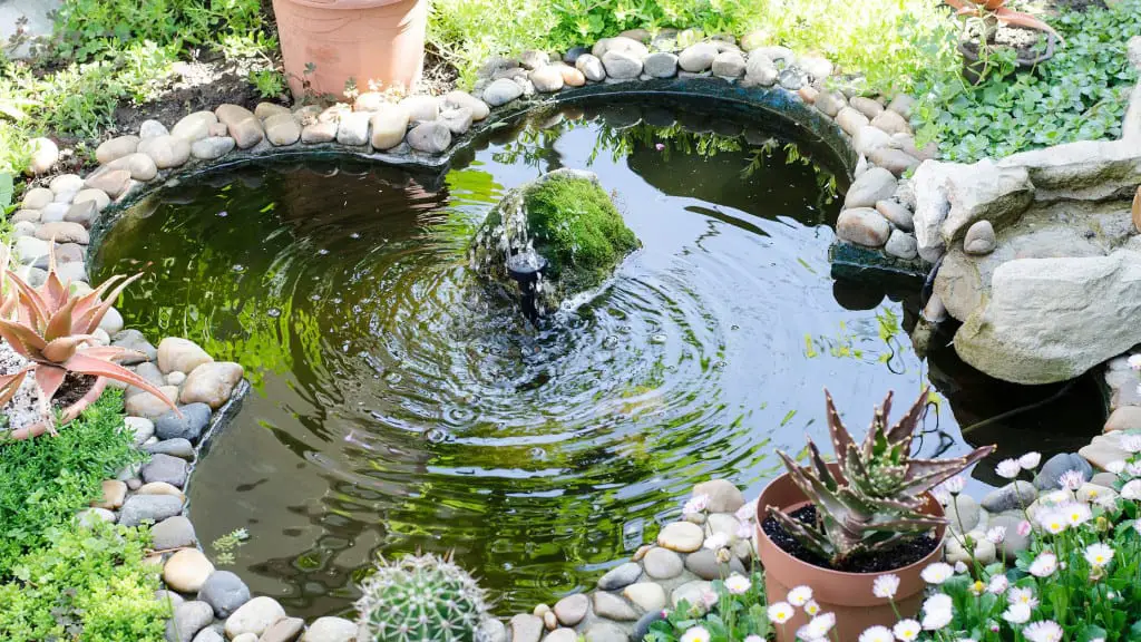 pond with fountain pump in it.